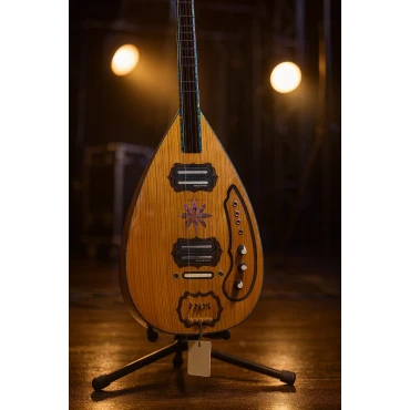 Akça Ağaç Elektro Bağlama