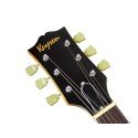 KAYSEN K-EG9 GD Elektro Gitar | LP Kasa HH Manyetik