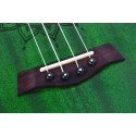 Kaysen U1-24GN Concert Ukulele