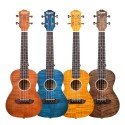 Kaysen U3-24GD Concert Ukulele