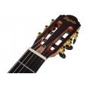 Tayste CG-100EQ Natural Silent Elektro Klasik Gitar