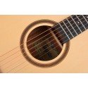 Tayste TS20D-41 Akustik Gitar