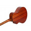 Tayste TS21-40 Akustik Gitar