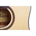 Tayste TS21-41 Akustik Gitar